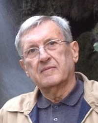 Vasilije Okolisan